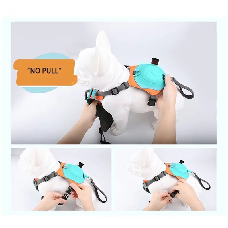 Petify™ | Integrated Retractable Harness with Auto - Lock Technology - Petify