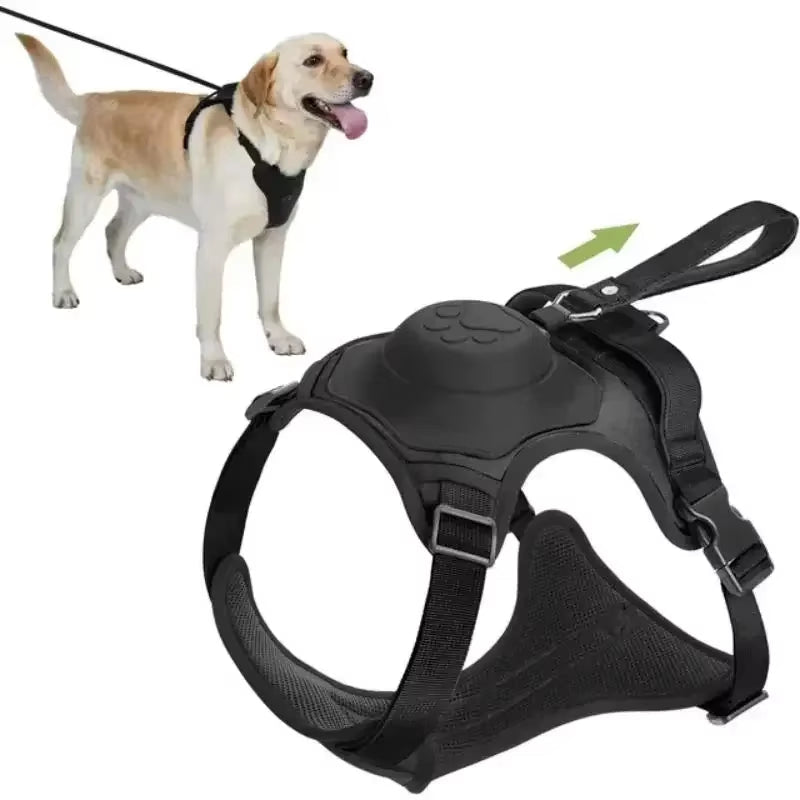 Petify™ Kinetic Plus | Heavy - Duty Integrated Harness - Petify