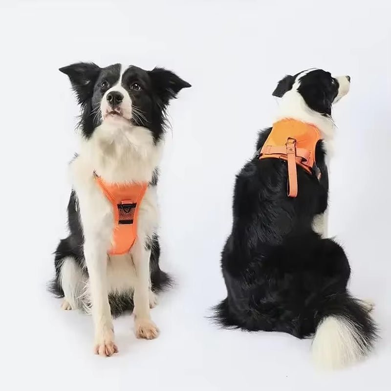Petify™ Kinetic Plus | Heavy - Duty Integrated Harness - Petify