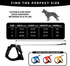 Petify™ Kinetic Plus | Heavy - Duty Integrated Harness - Petify