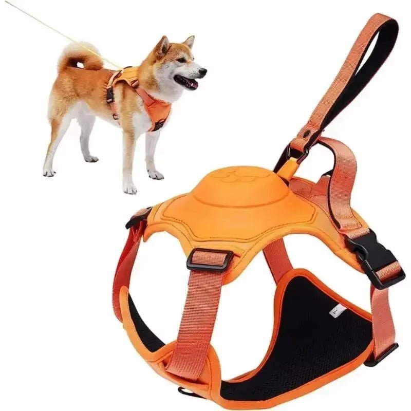 Petify™ Kinetic Plus | Heavy - Duty Integrated Harness - Petify