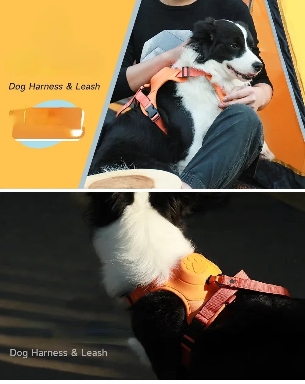 Petify™ Kinetic Plus | Heavy - Duty Integrated Harness - Petify